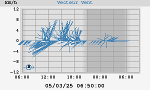 Wind Vector