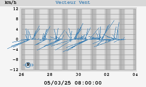 Wind Vector