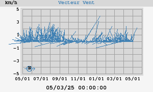 Wind Vector